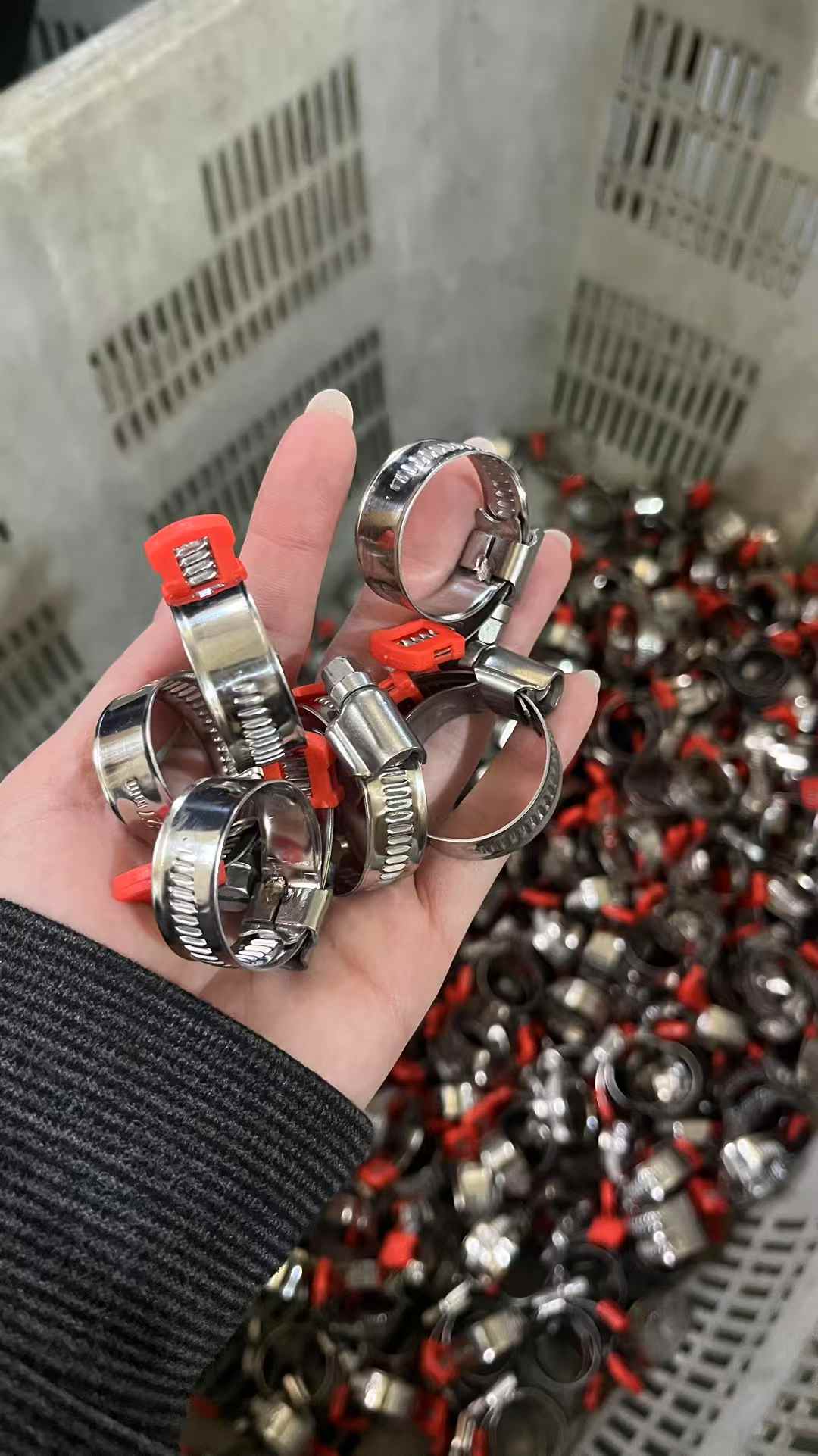 Hose Clamp 304/316/201 Stainle - đánh giá và giá Hose Clamp Assorted